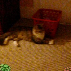 Meet your Posher, Maylene